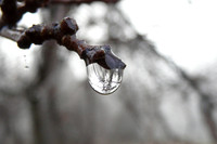 Prints up to 12 x 18 inches (1.5 ratio)