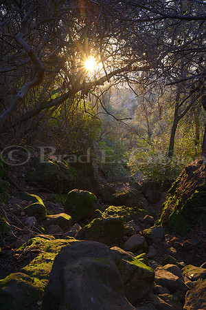 Hideout #3