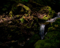 Prints up to 16 x 20 Inches (1.25 ratio)
