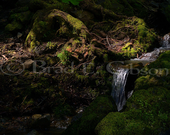 A trickle meandering into the Yuba River, by Edwards Crossing Bridge.